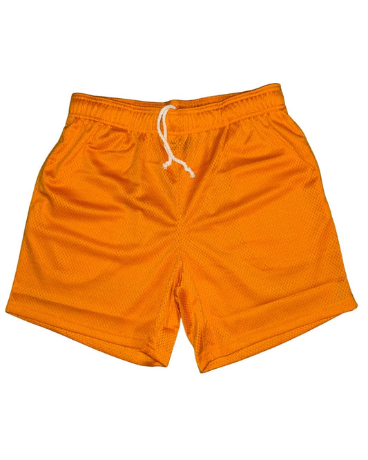 Mesh Shorts